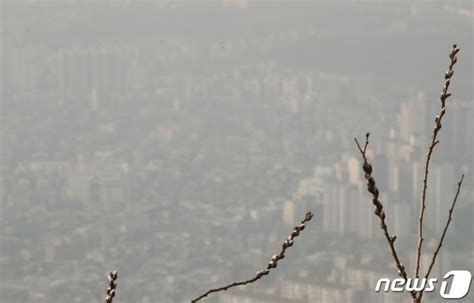 전남 동부권도 초미세먼지 주의보광주·전남 전역에 특보종합 파이낸셜뉴스