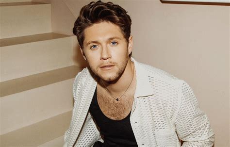 Niall Horan Lan A Novo Single Meltdown Glam Magazine