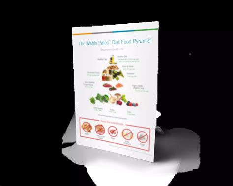 The Wahls Protocol® Diet Pyramid Dr Terry Wahls Md And Author