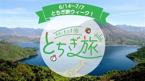 絹の渓谷 碧流 プランの詳細 【ntt健保組合員様】《6 14～7 7はとちぎ旅ウィーク！》「平日にもう1泊 とちぎ旅」開催！カジュアルコース《かたくり》1泊2食