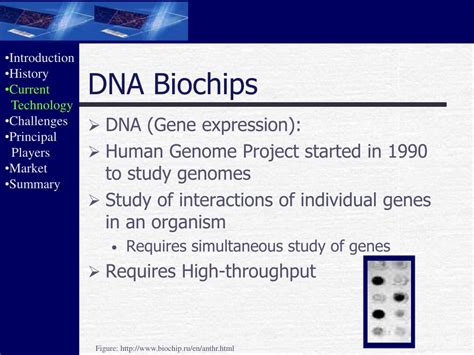 PPT - Biochips PowerPoint Presentation, free download - ID:3853894 