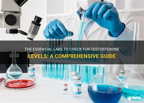 The Essential Labs To Check For Testosterone Levels A Comprehensive Guide Medshun