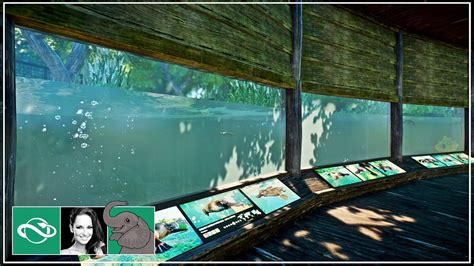 🐘 Creating An Amazing Platypus Habitat With Underwater Viewing In City