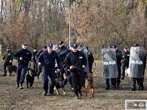 Psy i konie służbowe w pododdziałach zwartych Aktualności Centrum