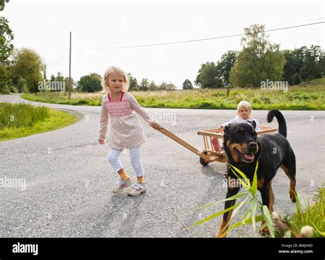 Children walking dog lead hi-res stock photography and images - Alamy