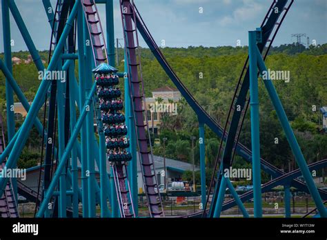 Orlando Florida June Amazing View Of People Enjoying Mako