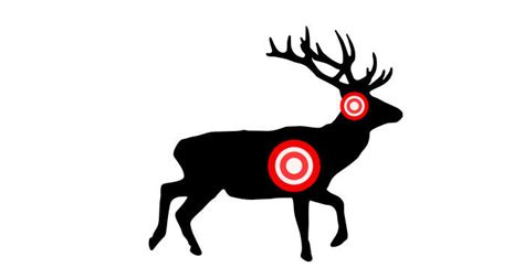 Our Guide to Deer Anatomy » targetcrazy.com