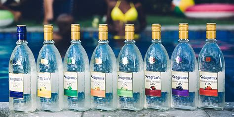 Seagram’s Gin Review – GAYLANDIA.COM