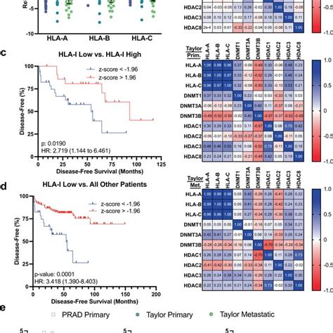 Genomic Alterations And Gene Expression Of Hla I In Primary And