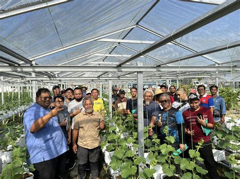 Plot Fertigasi Dimpian Agro Farm By Coach Bahar Tempat Menarik Di