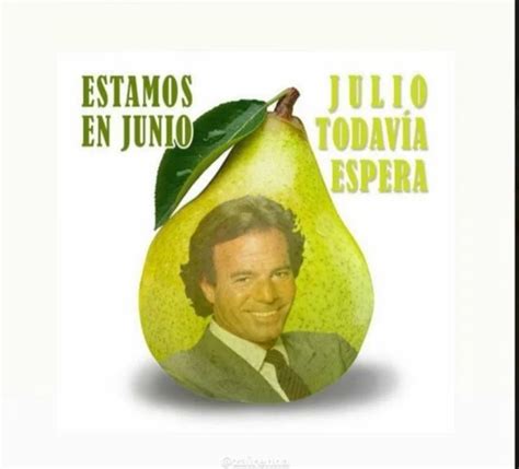 Memes De Julio Iglesias Llega Julio Y Lo Sabes Ajaxnews