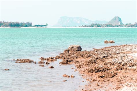 Blue Amazing Azure Coloured Sea Water With Granite Rocks In