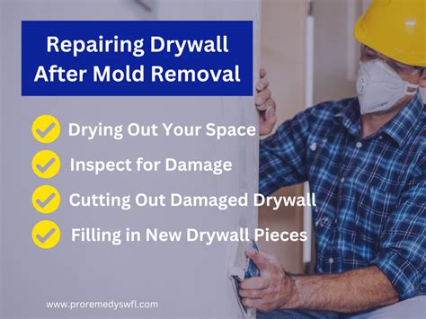 How Do You Kill Mold Behind Drywall A Comprehensive Guide