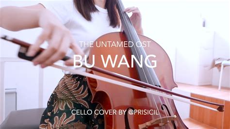 Bu Wang Wang Yibo The Untamed Ost Cello Cover Youtube