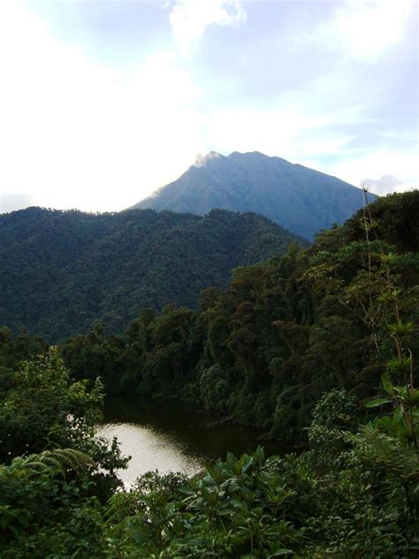 Parque Nacional Sumaco Napo Galeras