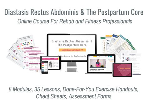 Diastasis Rectus Abdominis The Postpartum Core Embodia