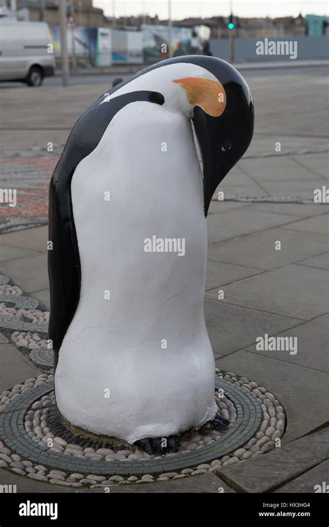 The dundee penguins hi-res stock photography and images - Alamy