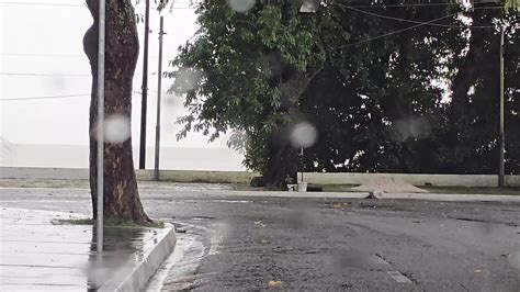 Free Public Exhibitionist Porn Videos Xhamster