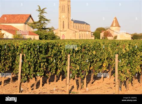 Vendanges Et Vignoble Hi Res Stock Photography And Images Alamy