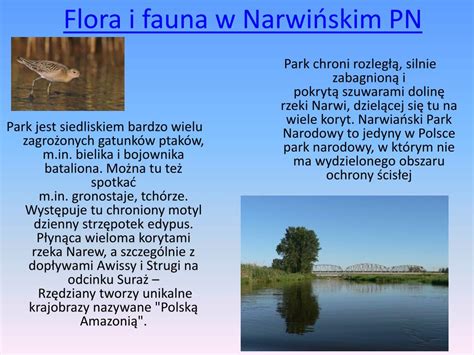 Ppt Parki Narodowe W Wojew Dztwie Podlaskim Powerpoint Presentation