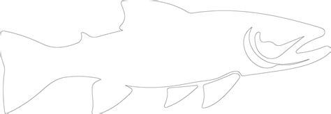 Lake Trout Outline Silhouette 38486101 Vector Art At Vecteezy