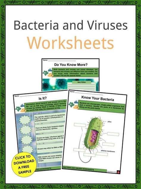 Virus And Bacteria Worksheet Key