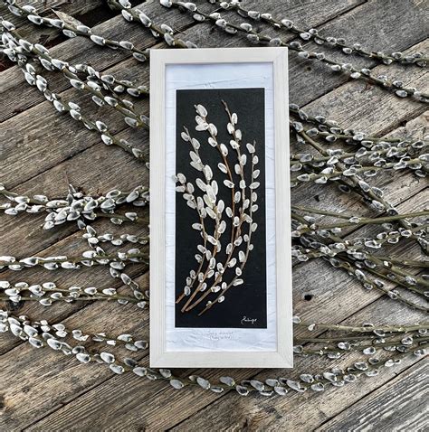 Real Pressed Pussy Willow Botanical Art Home Decor SIGNED ORIGINAL By