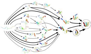 Protein folding - Wikipedia, the free encyclopedia | Deep learning ...