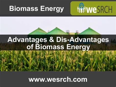 Advantages & Dis-Advantages of Biomass Energy