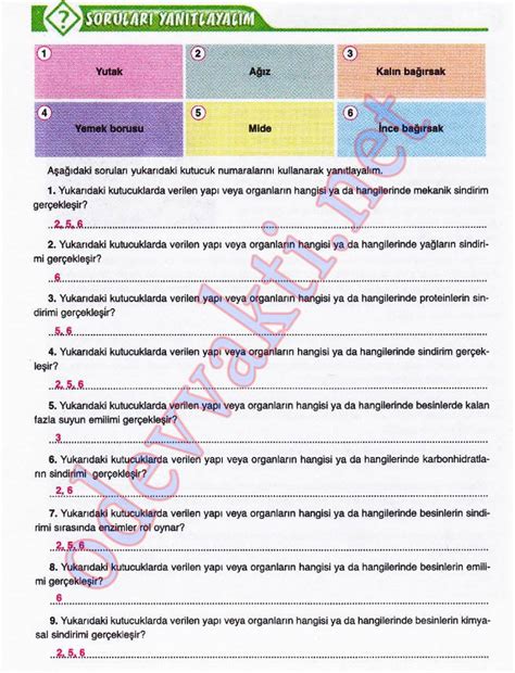 Fen Bilimleri Al Ma Kitab Cevaplar S N F Cevaplar