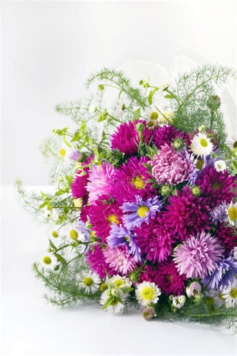 Bouquet with Asters and Daisies Stock Image - Image of bloom, decorated: 235342193