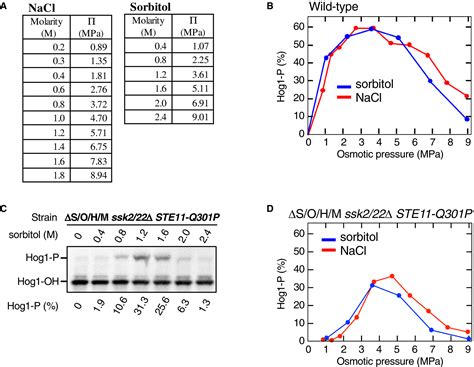 Osmostress Enhances Activating Phosphorylation Of Hog1 Map Kinase By Mono‐phosphorylated Pbs2