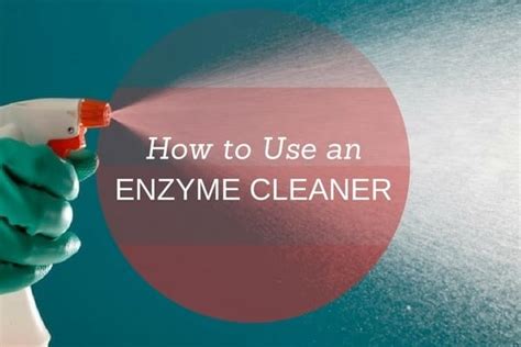 How To Use An Enzyme Cleaner Xion Lab