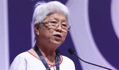 Wanita DAP Denies Connection To Ex Assemblywoman S Same Sex Marriage The True Net