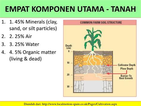 Ppt Tanah Pertumbuhan Tanaman Powerpoint Presentation Free