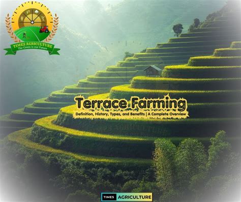 Terrace Farming Definition History Types And Benefits A Complete