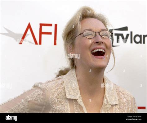 Meryl Streep TV Land Presents: AFI Life Achievement Award Honoring ...