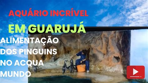 Aqu Rio Incr Vel Em Guaruj Alimenta O Dos Pinguins Acqua Mundo