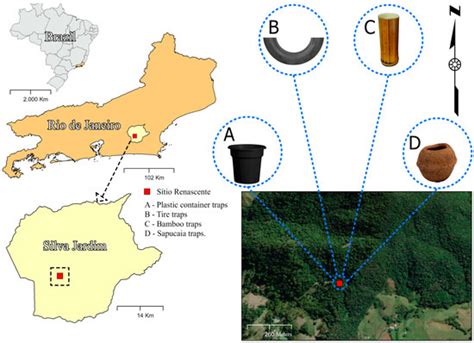 Tropicalmed Free Full Text Applicability Of Traps For Collecting