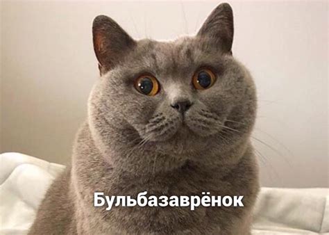 Бульбазавр | Пикабу