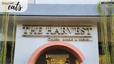 The Harvest Cakes Sunter Toko Kue Dari Prancis Juaranya Cheese Cake