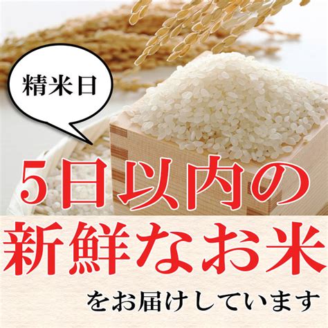 【楽天市場】米 白米 または 玄米 10kg 送料無料 ゆめぴりか 5kg×2袋 北海道産 令和2年産 1等米 ゆめぴりか お米 10キロ