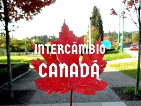 Oito Motivos Para Fazer Um Interc Mbio No Canad Feito Em Bh