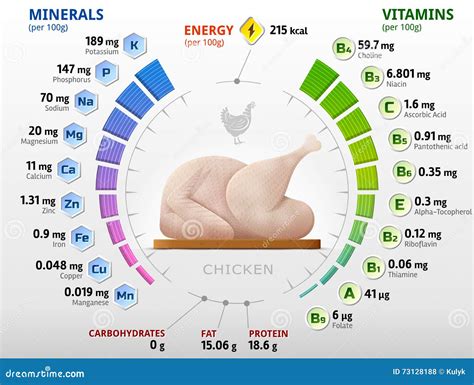 Vitamins And Minerals Of Raw Chicken Stock Vector Illustration Of Data Composition 73128188