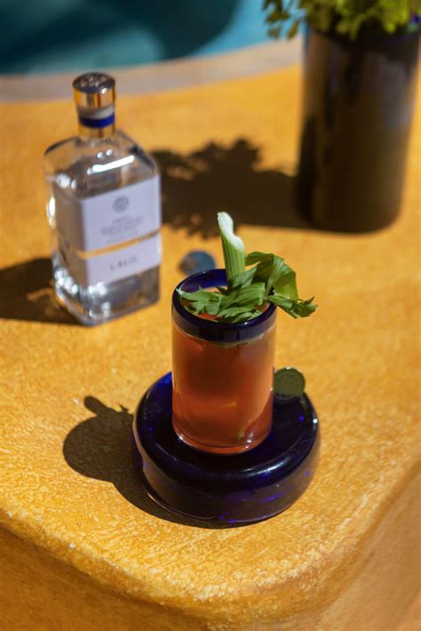 8 Best Lalo Tequila Cocktails To Make Mybartender