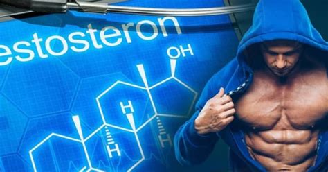 Тестостерон (Testosterone) — действие и роля в организма