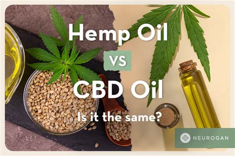 Hemp Oil Vs Cbd Oil Whats The Difference Between Them