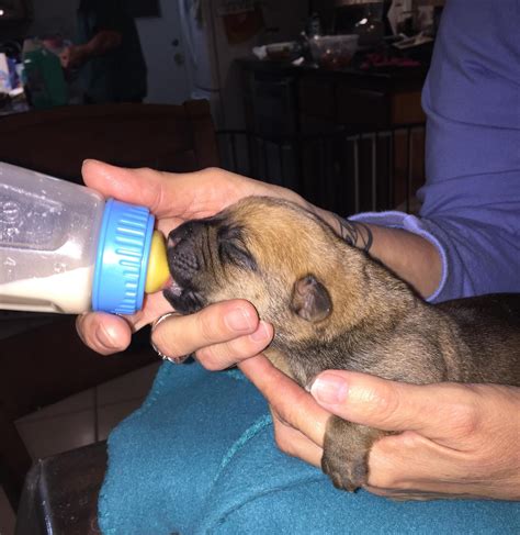 Friends Of The Odessa Animal Control | Facebook