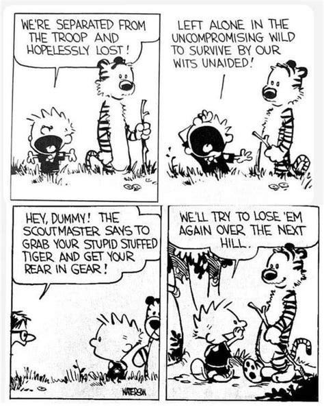 Calvin And Hobbes Lover In 2024 Calvin And Hobbes Calvin And Hobbes