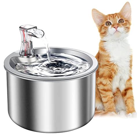 Oastro Fontaine Eau En Acier Inoxydable Pour Chat L Ultra